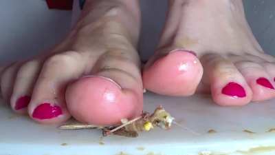 Toe Smush