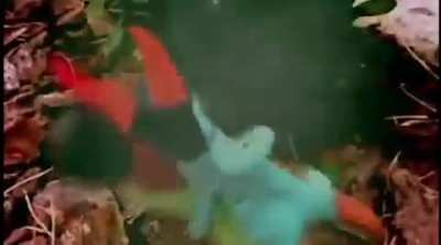 Marli - Cacha&ccedil;a