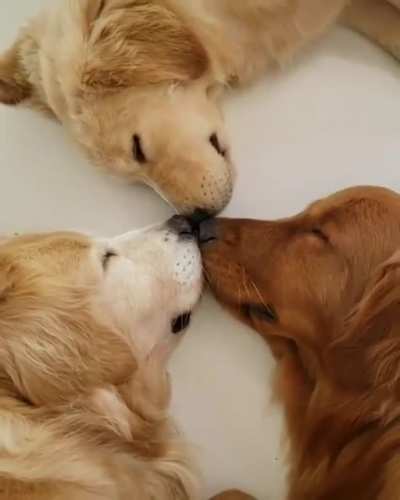 TRIFORCE ACTIVATE