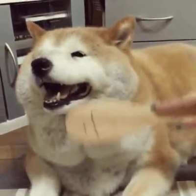 Brushy Brushy