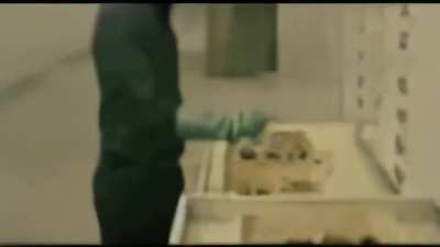 New Ufc&rsquo;s Horrible Tv Spot