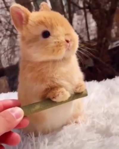 Cutie Pie! 🥰