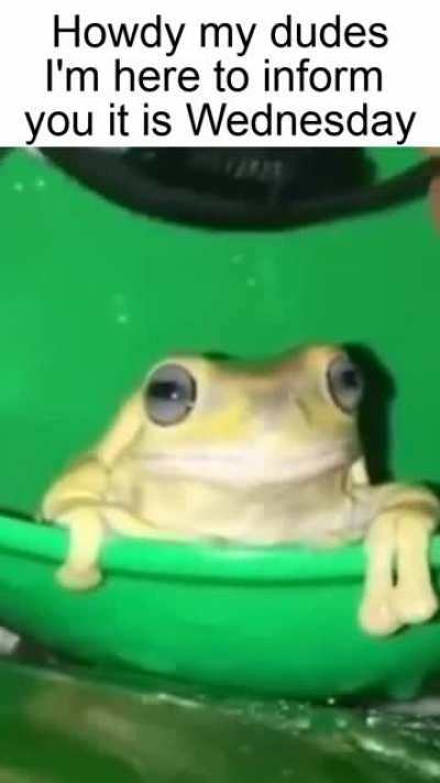 Howdy my dudes