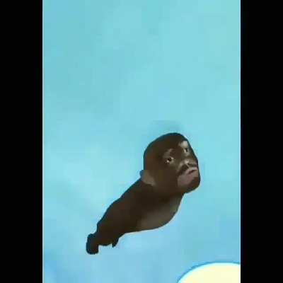 T&iacute;tulo foda (n&atilde;o tenho zelda)