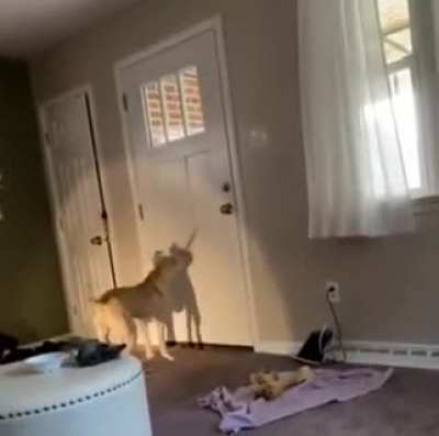 What is that?
