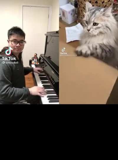Hit the road cat&hellip;