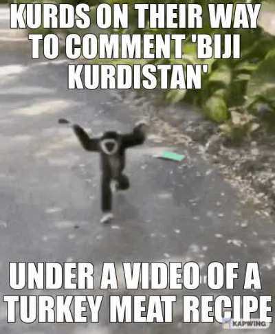 FUCK TURKET🏳️&zwj;🌈🇹🇷🏳️&zwj;🌈 BIJI KURDISTAN 🟥☀🟩