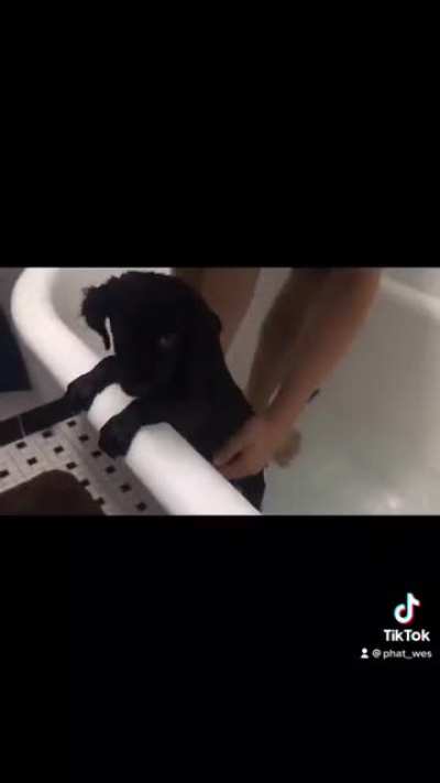 Lil buddy&rsquo;s first bath! [CUTENESS OVERLOAD]