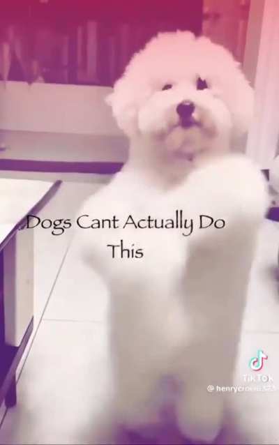 title 