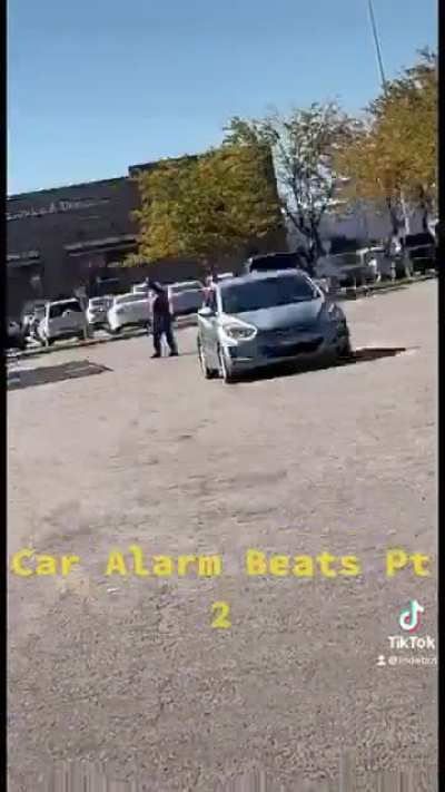Car Alarm Beats pt. 2