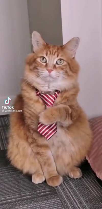 Quite dapper indeed good sir 🧐😏