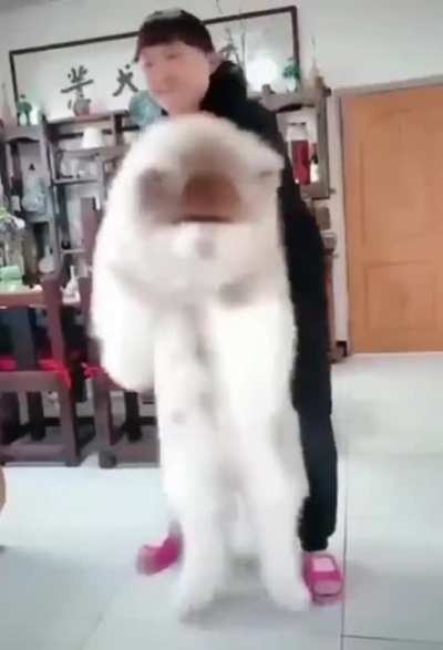 Road to the ultimate floof