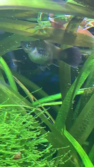Not something you&rsquo;ll catch on video often