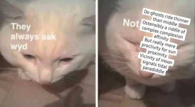 &amp;lt;/3 fake friends