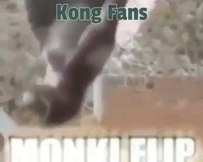 🦍