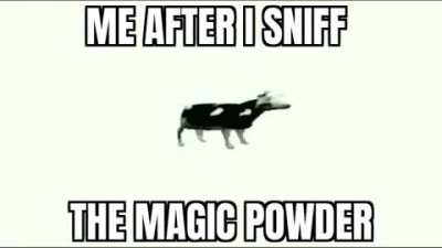 Yes