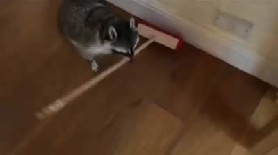 Good boi helping out with the chores