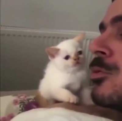 Catto not like kiss