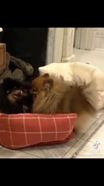 You're lucky I'm not sleepy