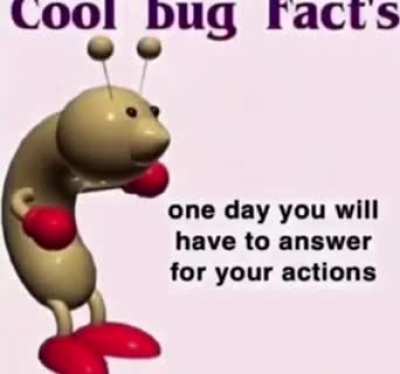 cool bug fact&rsquo;s (not mine)
