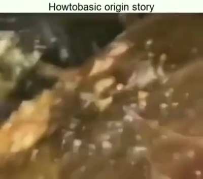 The origin