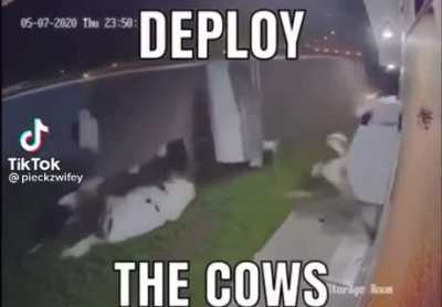Deploy the cows