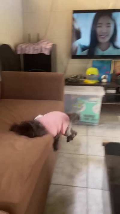 ele calculou errado