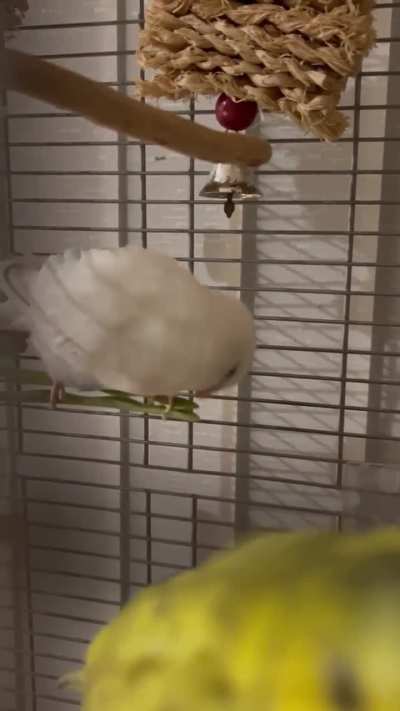 What&rsquo;s this guy doing??