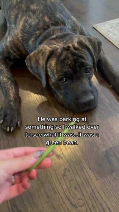 It&rsquo;s just a green bean