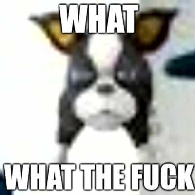 🗿
