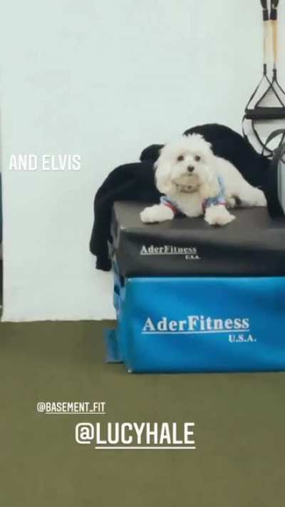 Working out