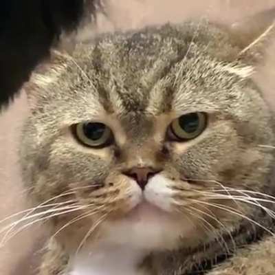Sat
