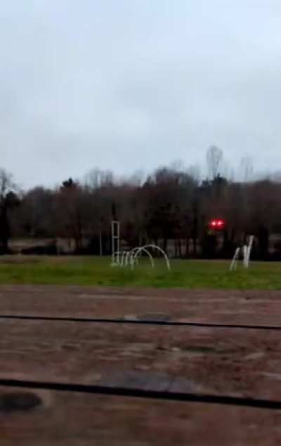 crazy scream