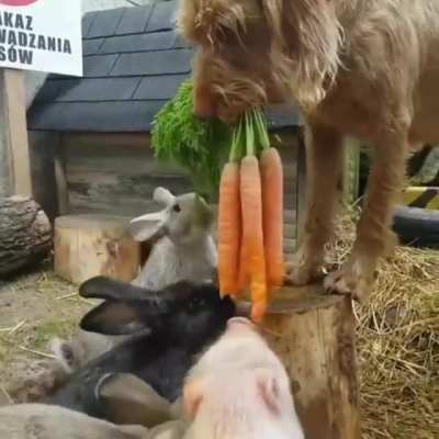 Come and get your food