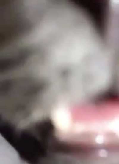 You have been S N I F F E D