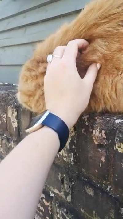 Touch tha hand