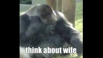 monke