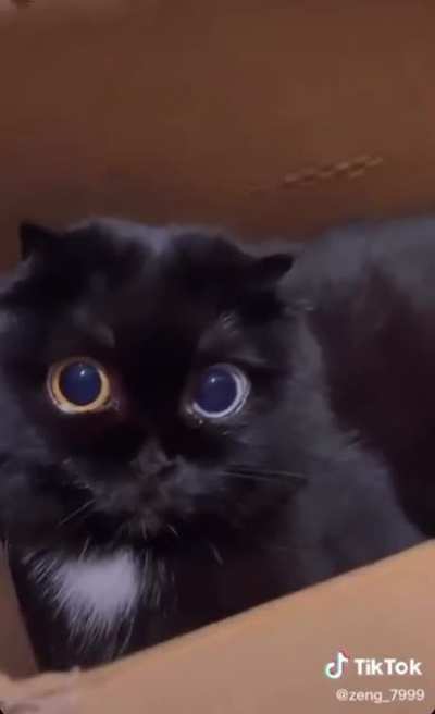 👁👁