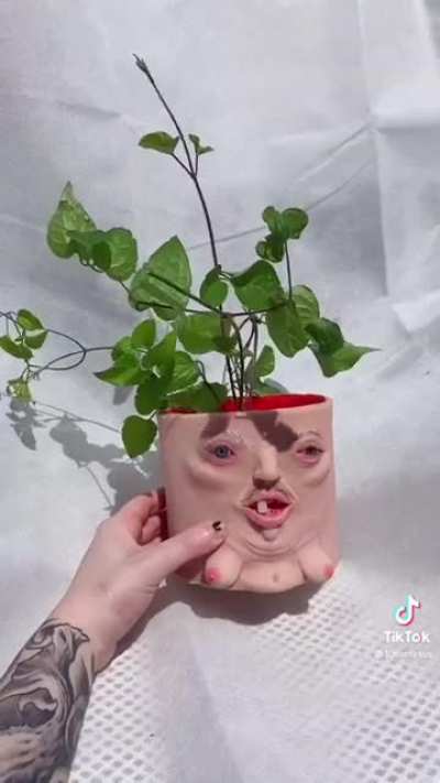 Flower pot.