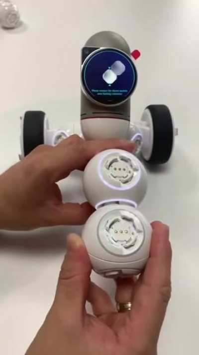 Advanced Robotics