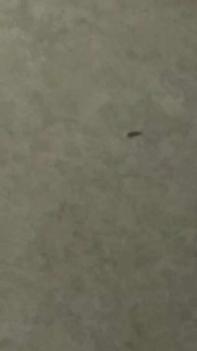 1 hafta &ouml;nce felan yazmıştım gruba yardım edin bu ne diye inanmamıştınız koridorda buldum buyrun.