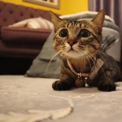 Have a nice day! (◠‿◕)