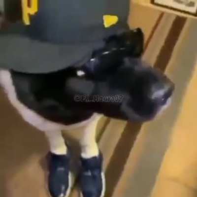 😎