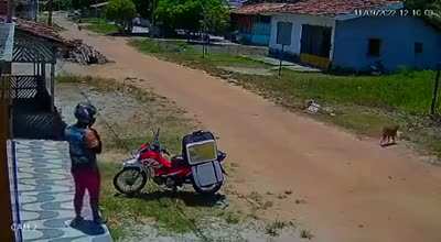 A ocasi&atilde;o faz o ladr&atilde;o.