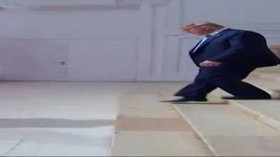 thicc donald trump.