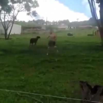 Men vs goat