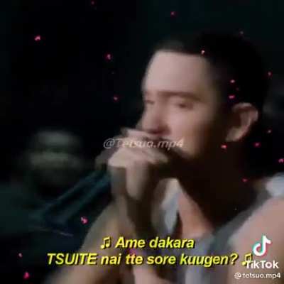 Fofo