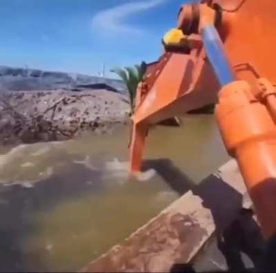 pq isso é tao fofo?