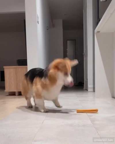 Praise the cheesebone!