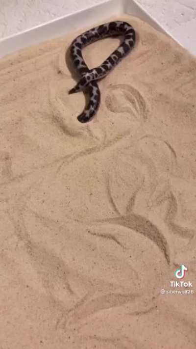 Caspian gets a new sand box
